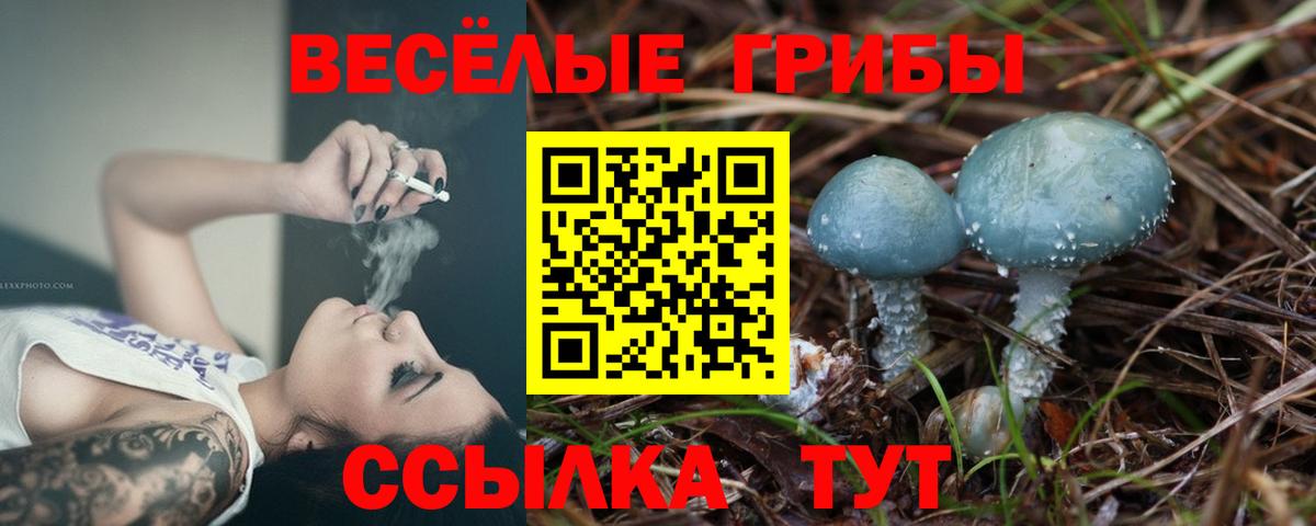 Псилоцибиновые грибы прущие грибы Фурманов